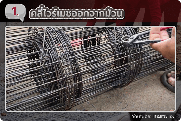 คลี่ตะแกรงไวร์เมชออกจากม้วน